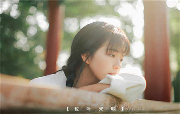 海盐胎儿性别鉴定需要多少钱(胎儿性别鉴定的方法)